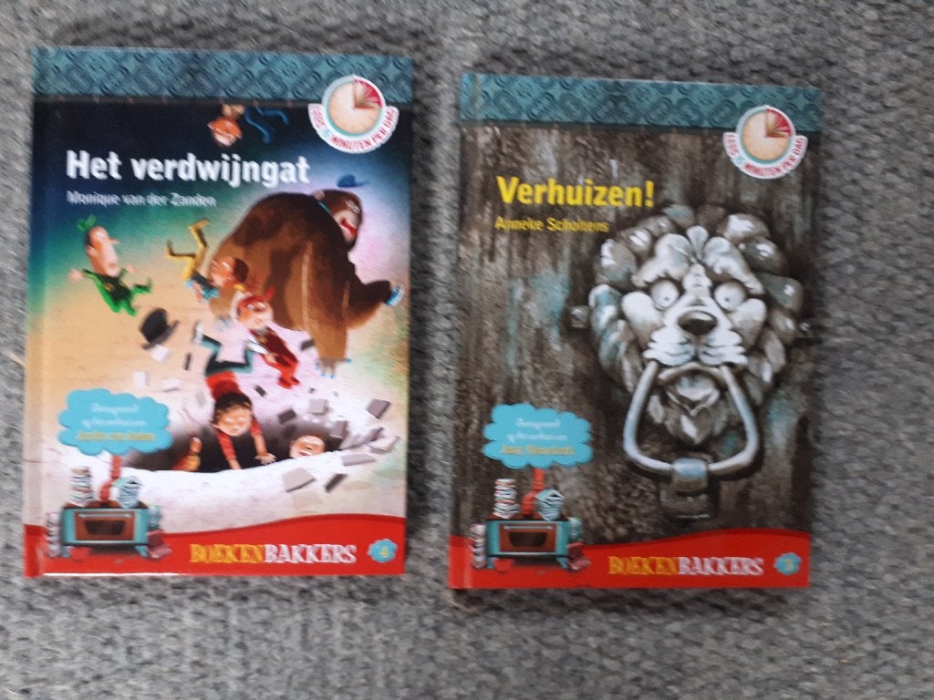 Het verdwijngat, Verhuizen, boekenbakkers, Fictie algemeen, Verzenden, Monique van der Zanden, Zo goed als nieuw