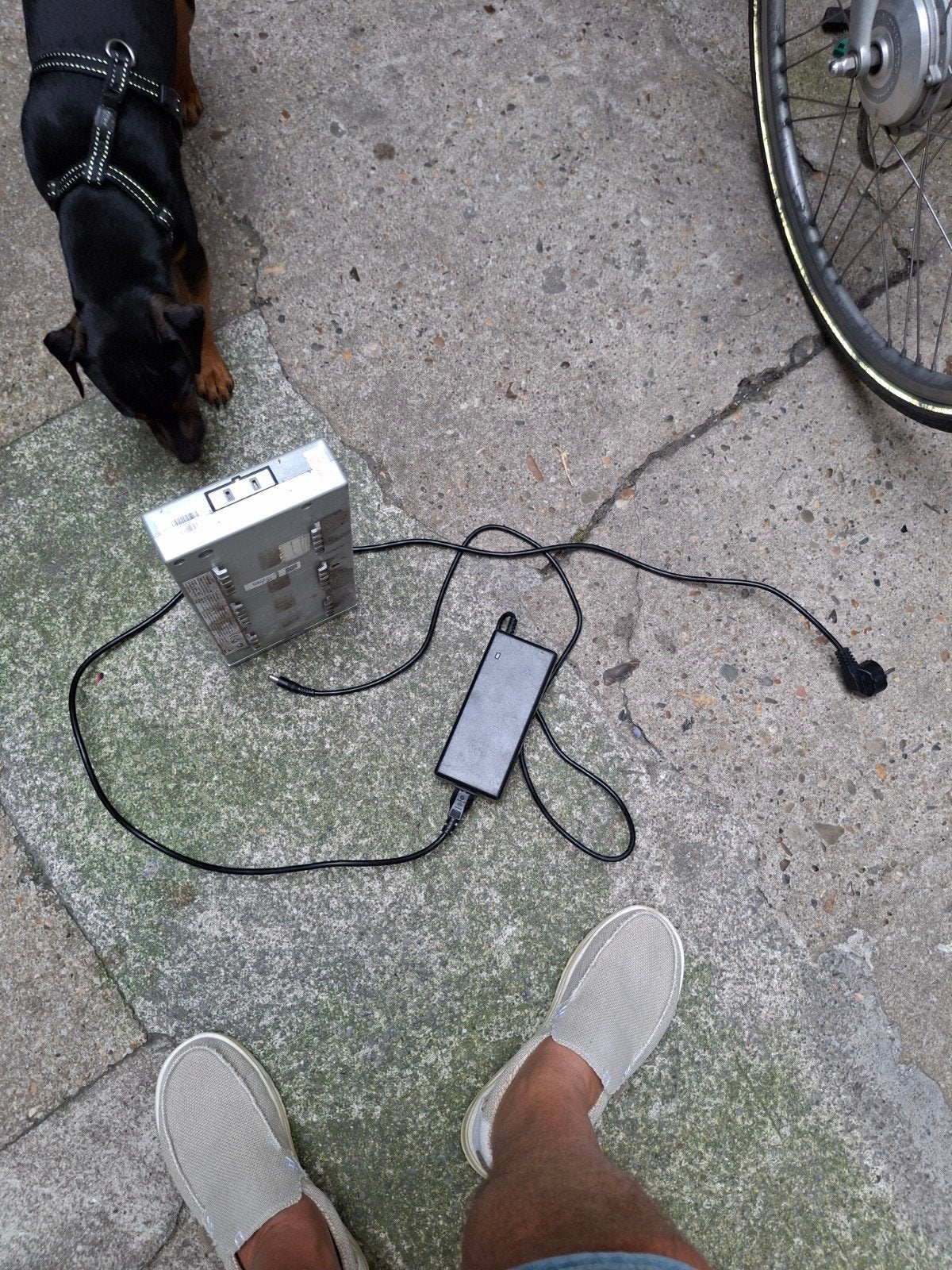 E-bike accu met lader SPARTA E MOTION C2 - Gebruikt, Fietsen en Brommers, Fietsaccessoires | Fietsaccu's, Ophalen of Verzenden