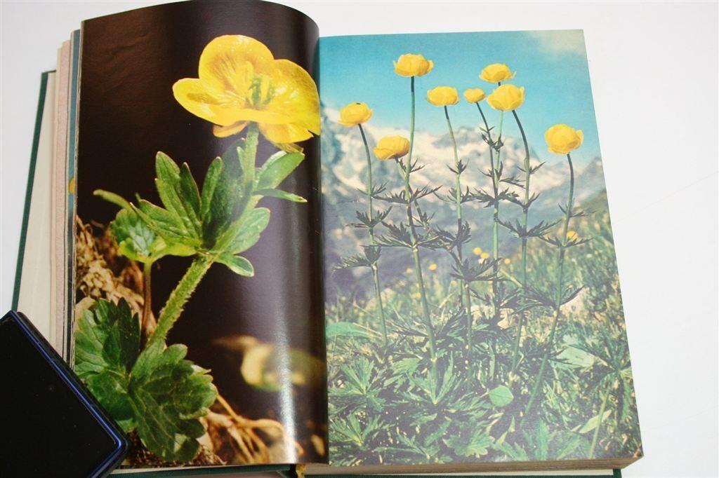 Alpenbloemen in Kleuren — Veldgids met 242 Kleurenfoto\'s, Ophalen of Verzenden, Gelezen