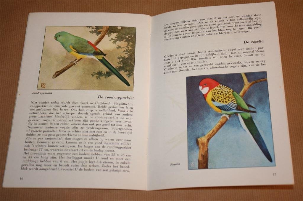 Parkieten: huisvesting voeding verzorging kweken. ca 1960, Ophalen of Verzenden, Gelezen