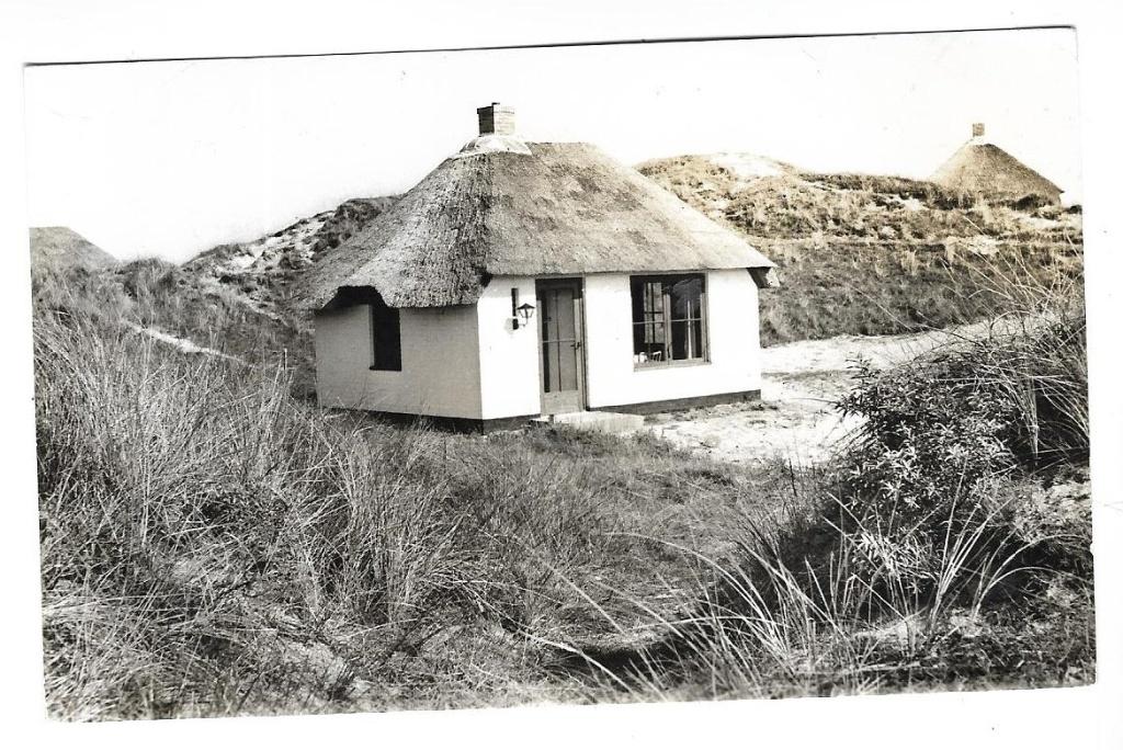 T42 Texel buitencentrum de Sluftervallei Cocksdorp, Verzenden, 1940 tot 1960, Gelopen, Waddeneilanden