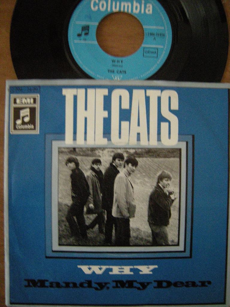 The Cats (Why), Cd's en Dvd's, Vinyl Singles, Ophalen of Verzenden, Gebruikt, Pop