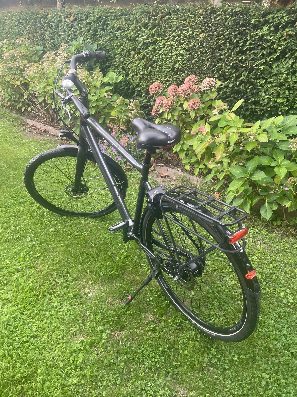 Giant Any Tour herenfiets met belt maat L, Ophalen, Gebruikt, Versnellingen, Giant