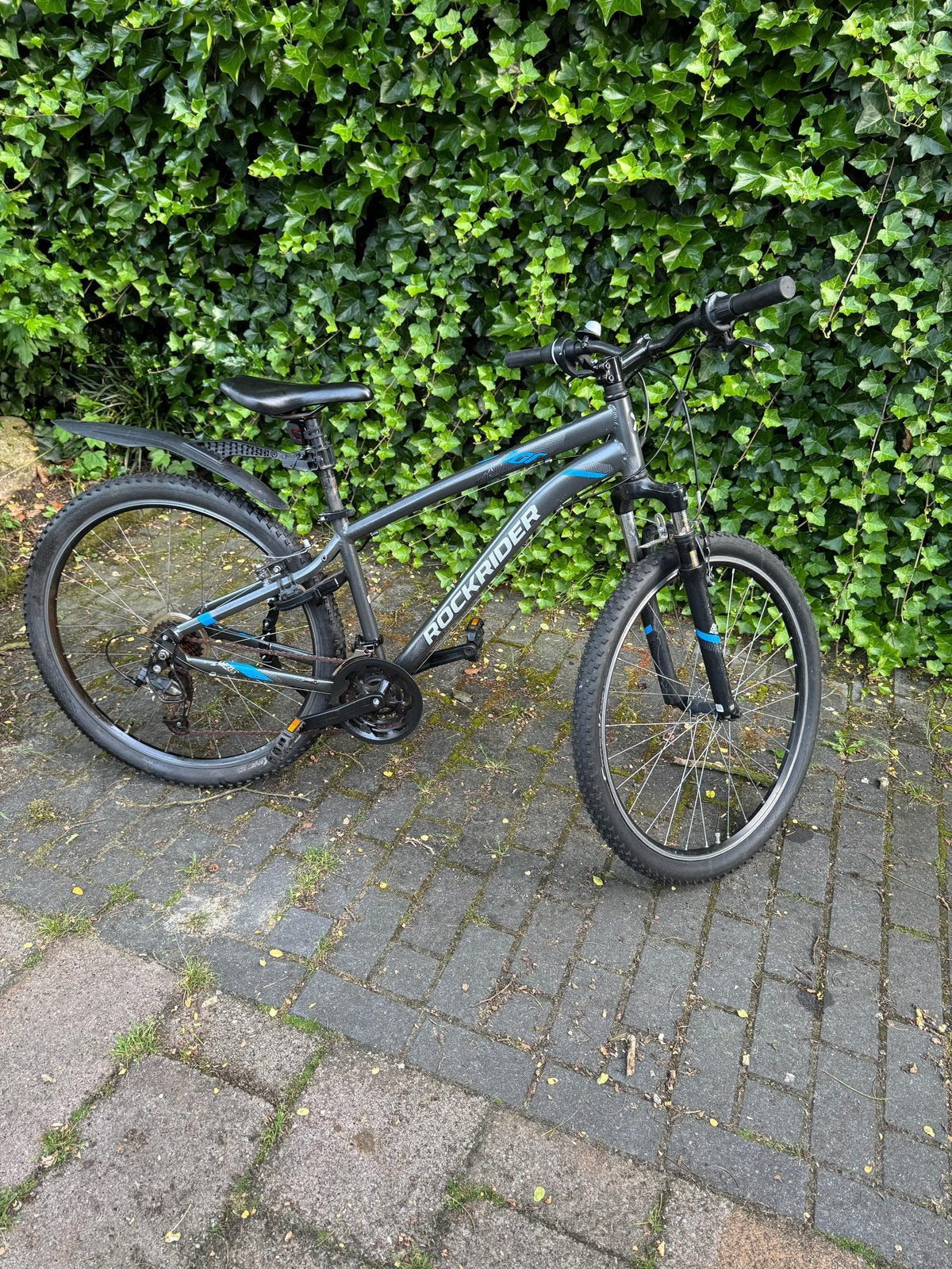 Mountainbike, Ophalen of Verzenden, Gebruikt, 26 inch of meer