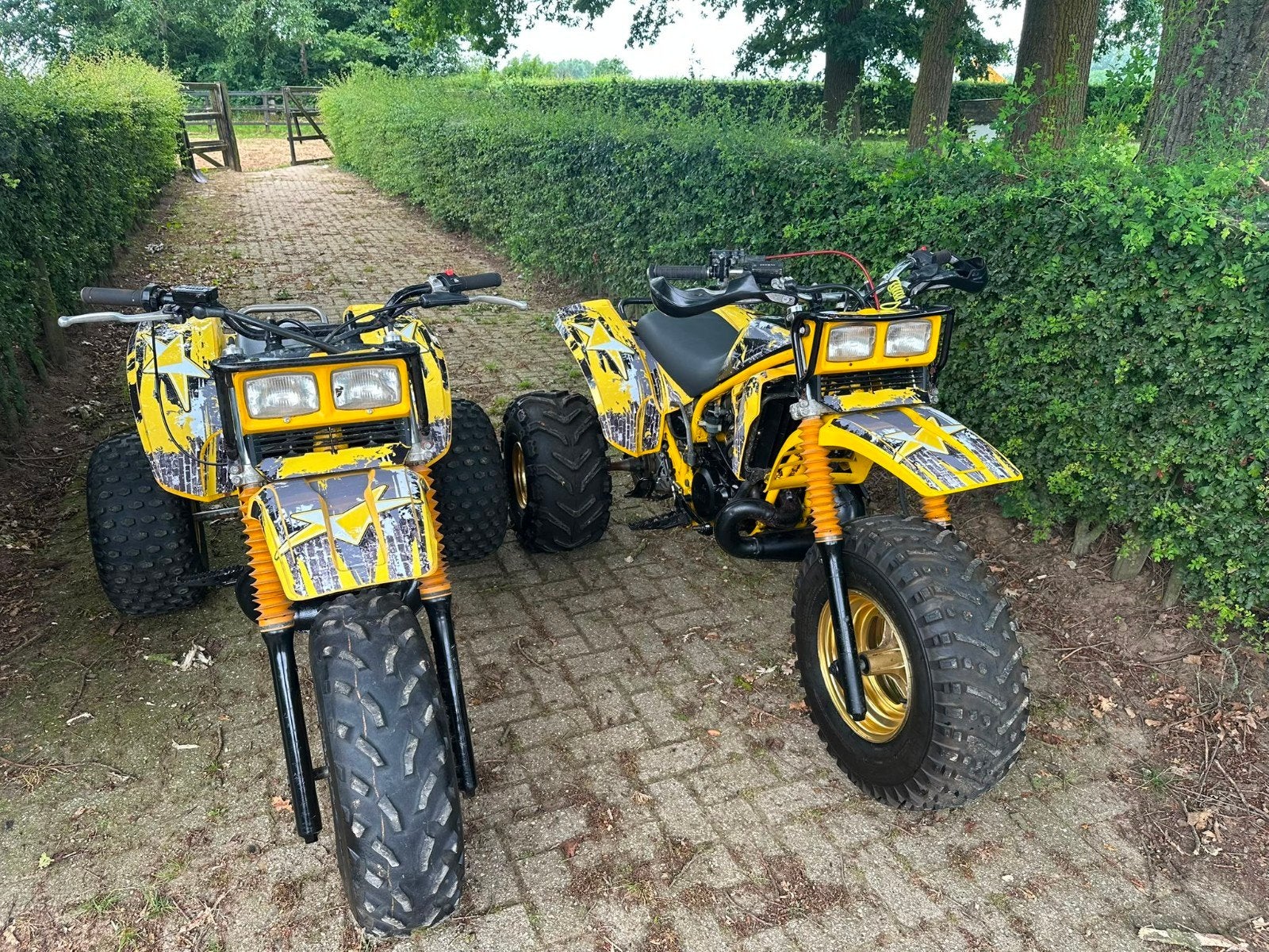 2x Yamaha triz trike 2takt 250cc 1985 zeldzaam, Ophalen of Verzenden