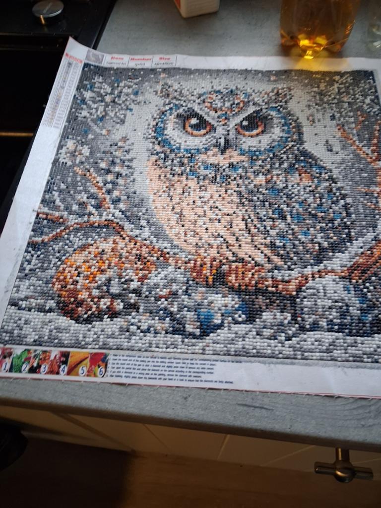 Diamond Painting Uil - Handgemaakt Kunstwerk, Hobby en Vrije tijd, Knutselen, Dieren, Ophalen of Verzenden, Zo goed als nieuw