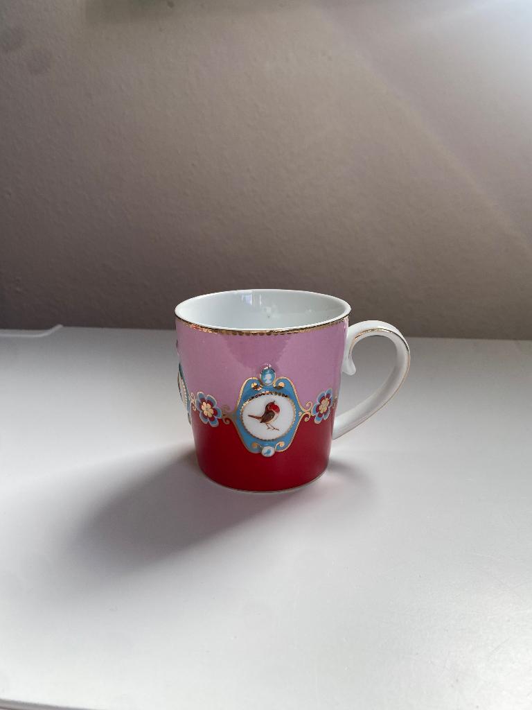 Pip studio servies, Ophalen, Zo goed als nieuw, Overige stijlen, Kop(pen) en/of Schotel(s)