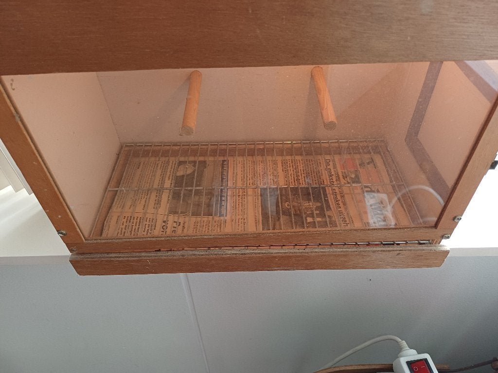 BROEDKOOITJE +TENTOONSTELING KOOITJES + EN MET MEER SPULLEN, Ophalen, Gebruikt, Overige materialen, Vogelkooi