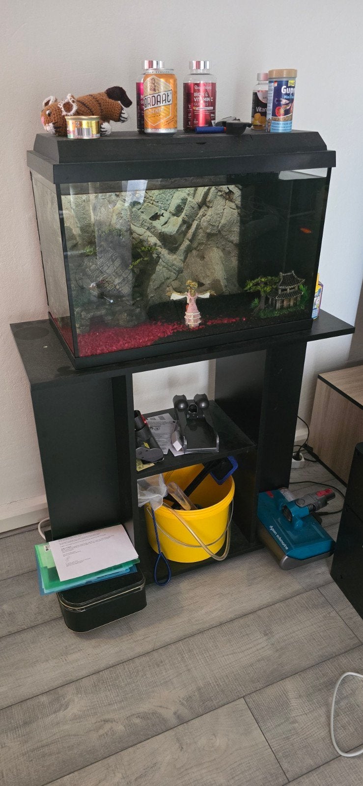 aquarium 90L inclusief vissen, accesoires, meubel, Ophalen, Inclusief deksel, Zo goed als nieuw, Gevuld zoetwateraquarium