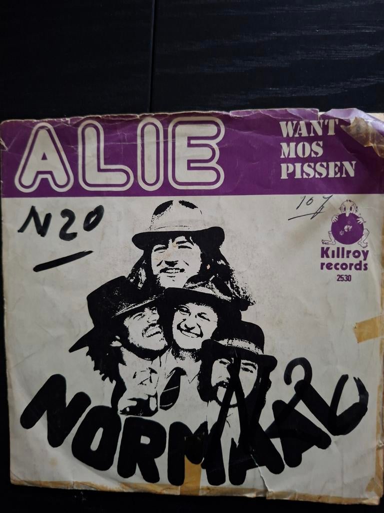 Normaal, Cd's en Dvd's, Vinyl Singles, Ophalen of Verzenden, Gebruikt, Nederlandstalig, Single