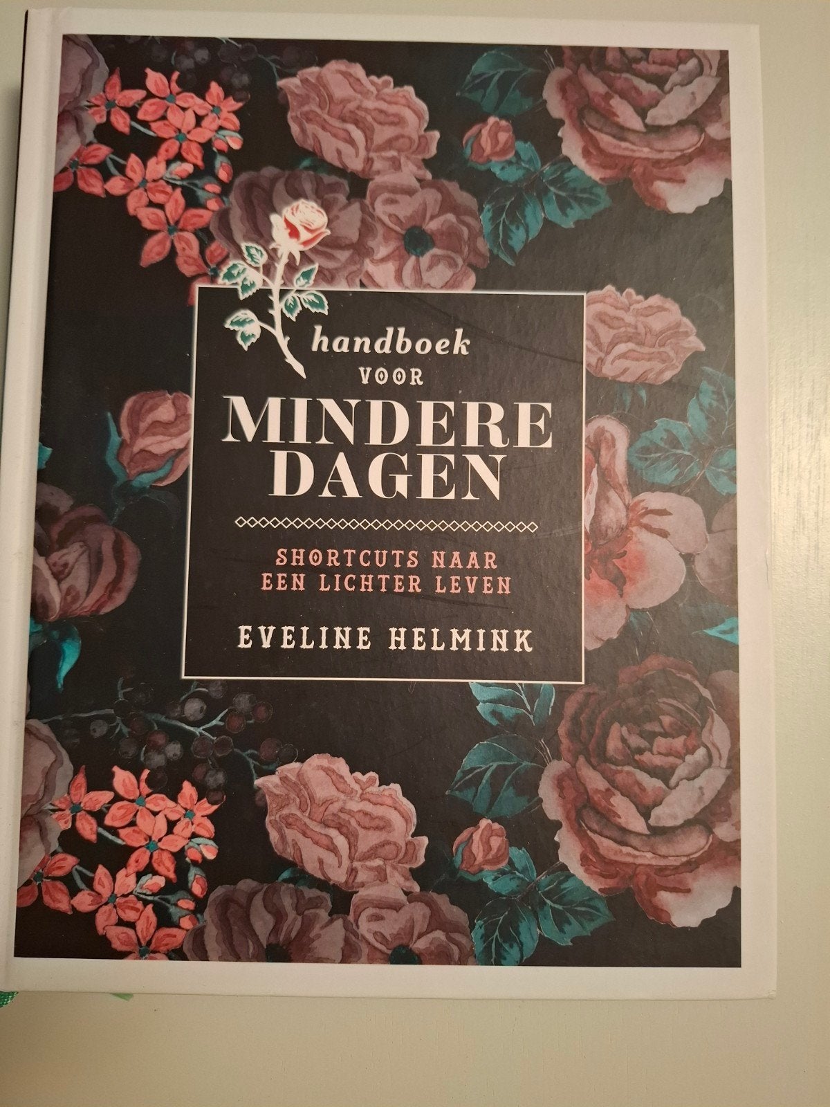 Handboek voor Mindere Dagen - Eveline Helmink, Boeken, Ophalen of Verzenden, Zo goed als nieuw, Eveline Helmink, Nederland