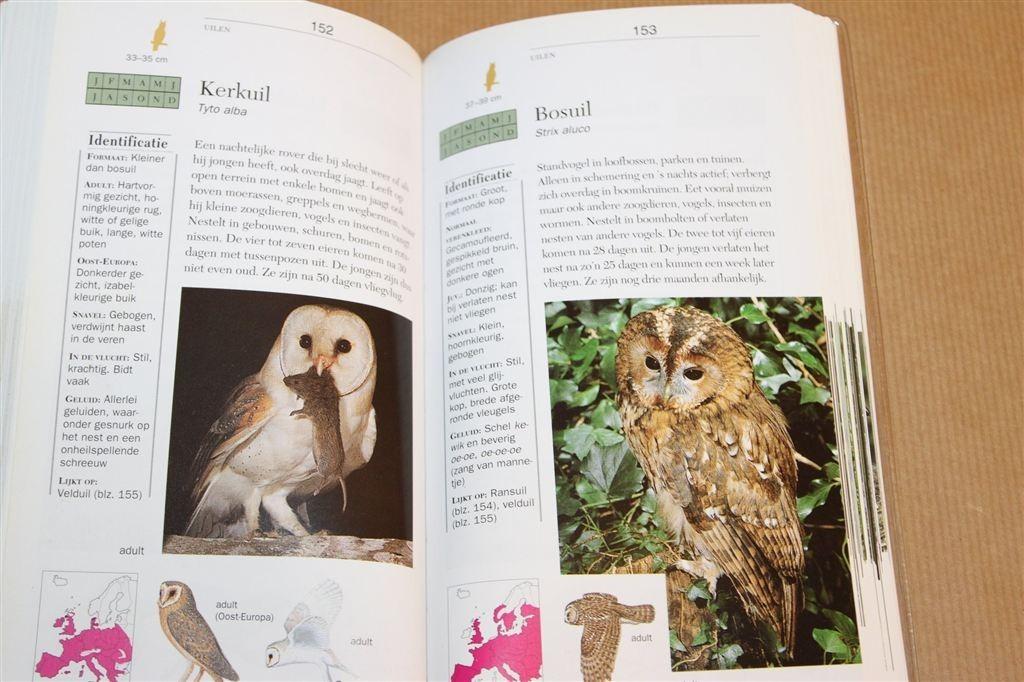 Vogels — ANWB Veldgids voor Herkenning, Boeken, Ophalen of Verzenden, Gelezen, Vogels