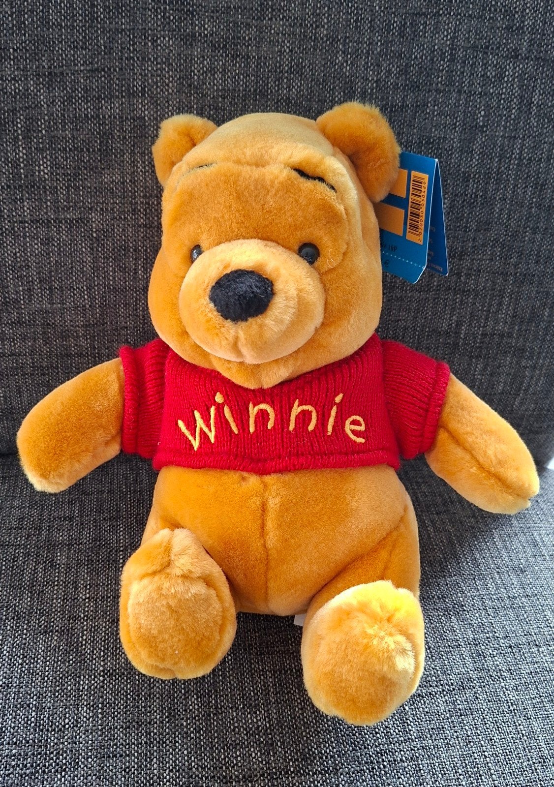 Winnie de Poeh knuffel - Disneyland Parijs (nieuw), Disney, Disney, Nieuw, Ophalen of Verzenden