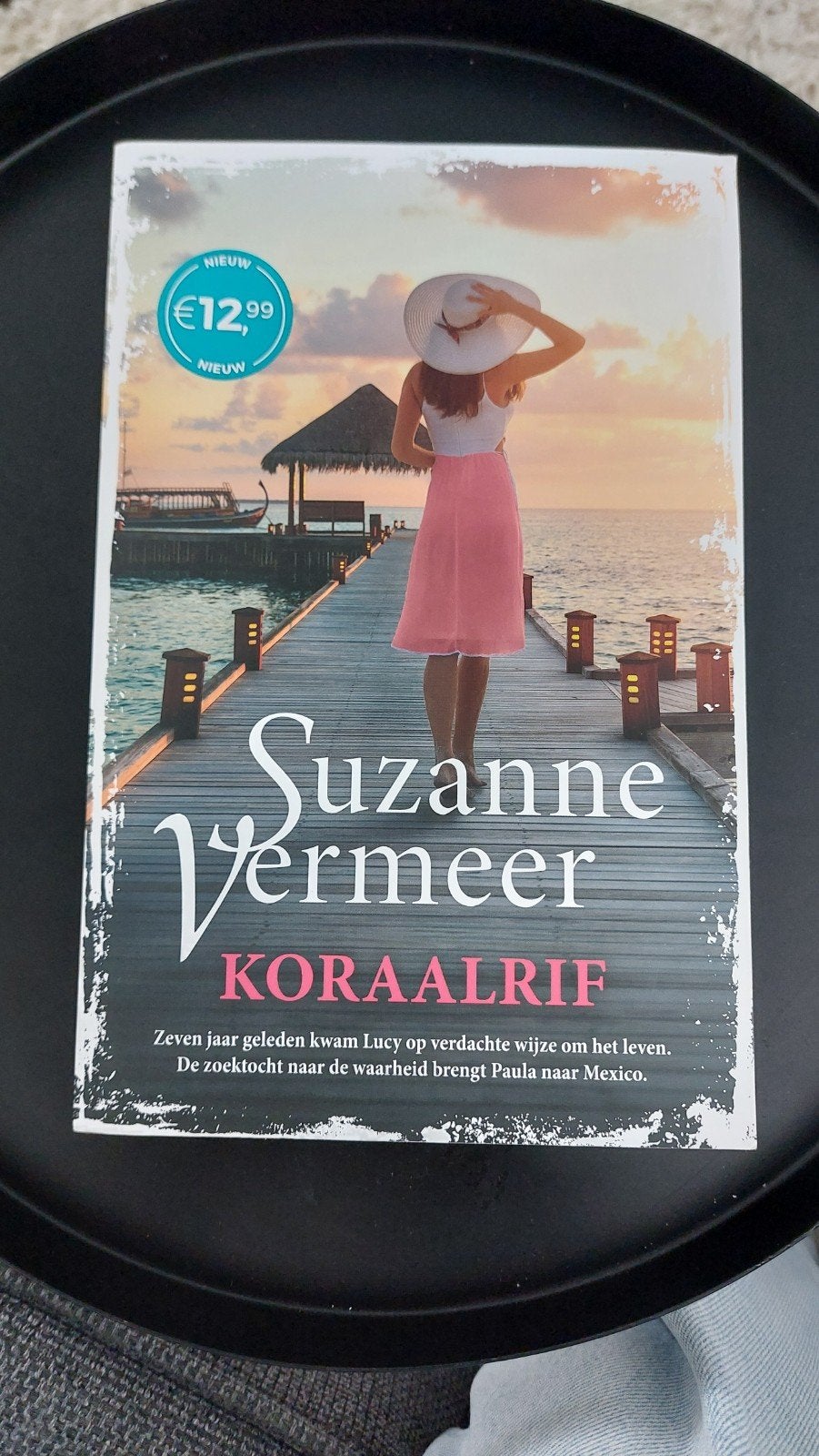 Suzanne Vermeer - Koraalrif, Suzanne Vermeer, Ophalen of Verzenden, Zo goed als nieuw, Amerika