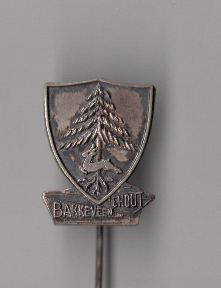 Bakkeveen 't Hout speldje, Gebruikt, Niet vindbaar, Niet vindbaar, Speldje of Pin