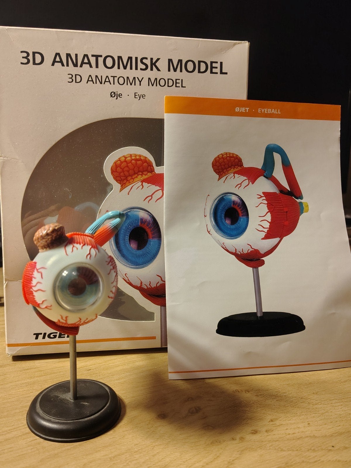 TIGER Anatomisch Oog, Ophalen of Verzenden, Gebruikt