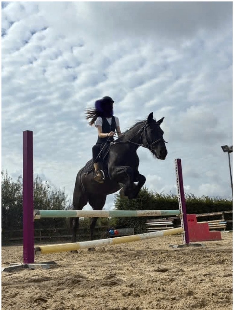 Lieve en brave E pony / paard te koop, 11 jaar of ouder, Recreatiepony, Merrie, Gechipt