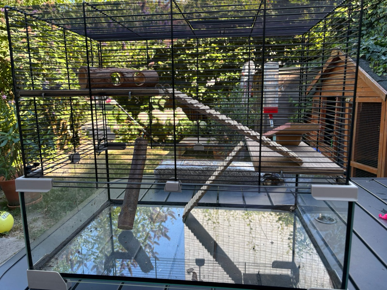 Hamsterpaleis, Dieren en Toebehoren, Knaagdieren en Konijnen | Hokken en Kooien, Minder dan 60 cm, Minder dan 75 cm, Ophalen of Verzenden