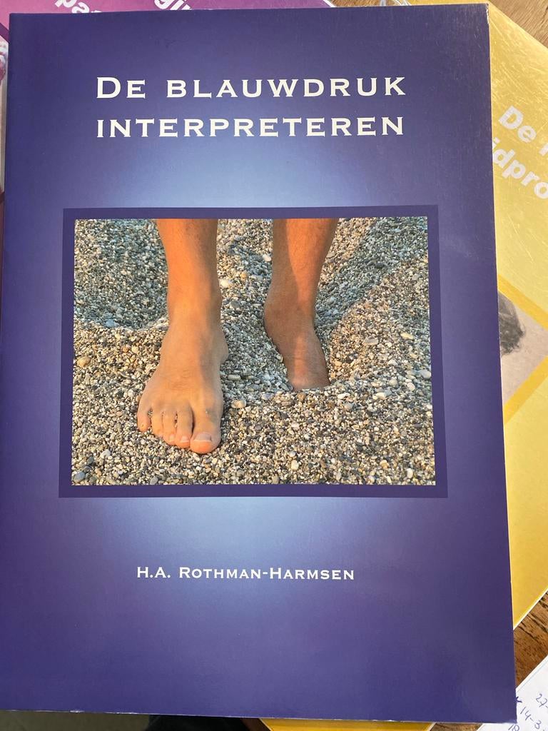 H.A. Rothman-Harmsen - De blauwdruk interpreteren, Ophalen of Verzenden, Zo goed als nieuw, H.A. Rothman-Harmsen, Nederlands