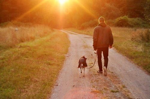 Persoonlijke liefdevolle thuisopvang voor uw hond, Diensten en Vakmensen, Dieren | Honden | Verzorging, Oppas en Les, Particuliere oppas