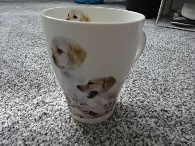 Beker LABRADOR van Sweet Lake Collection, Ophalen of Verzenden, Nieuw