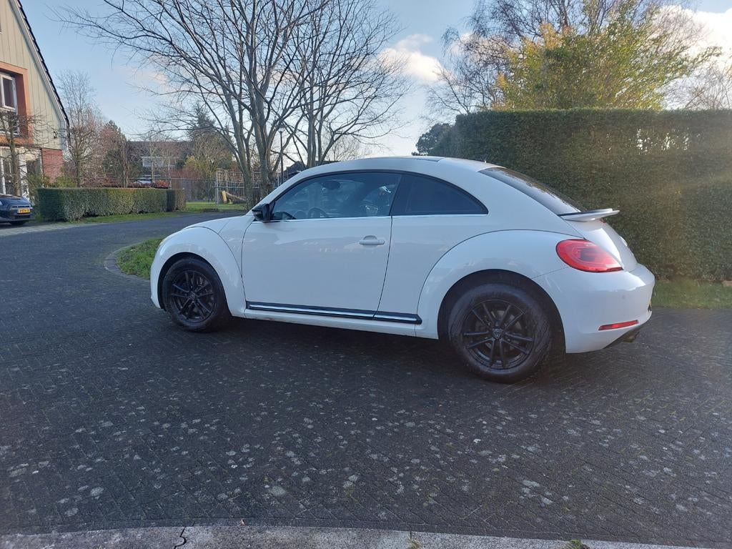 Volkswagen Beetle 1.4 TSI Design160 PK met schuif kanteldak, Auto's, Volkswagen, Particulier, Te koop