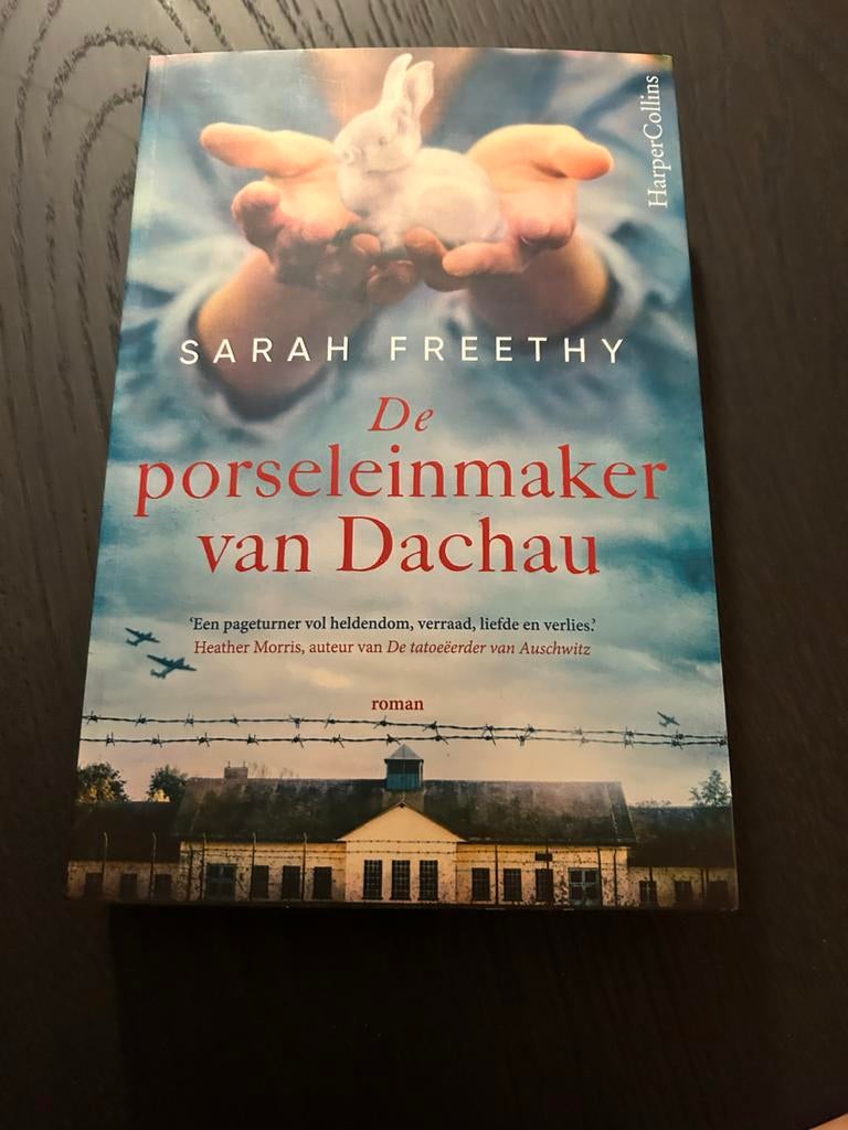 De porseleinmaker van Dachau - Sarah Freethy, Boeken, Ophalen of Verzenden, Gelezen, Nederland