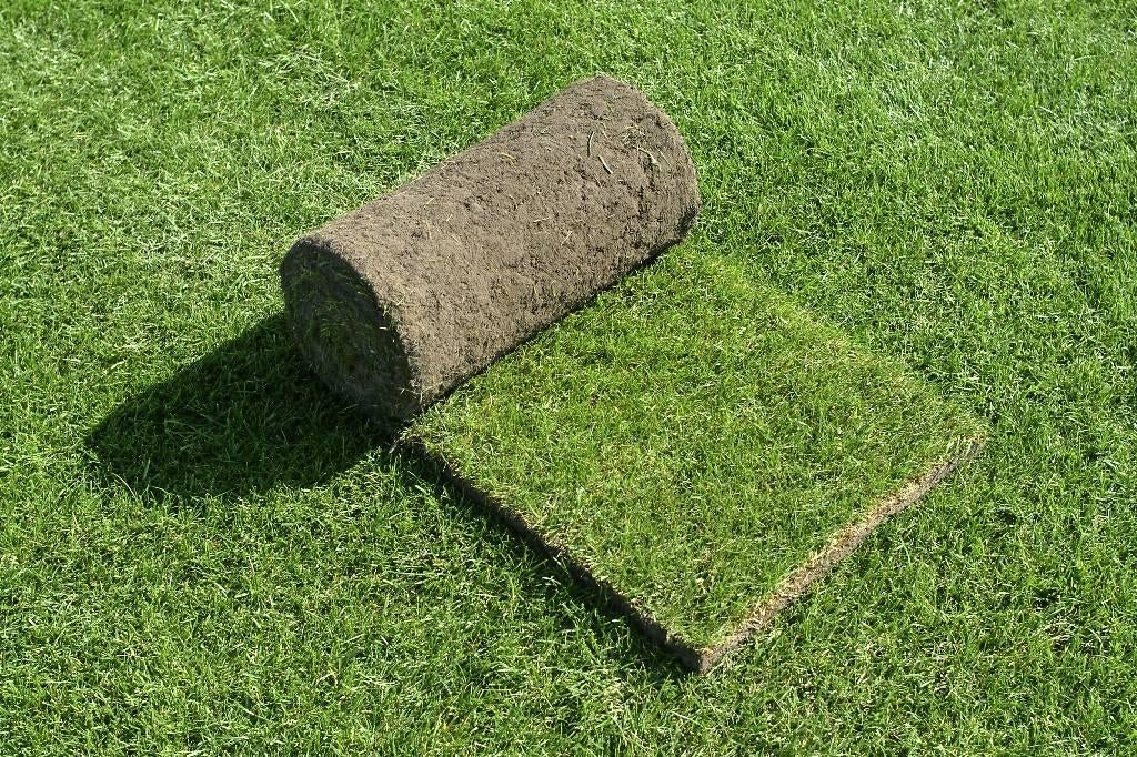 Graszoden Premium kwaliteit regio Den Haag