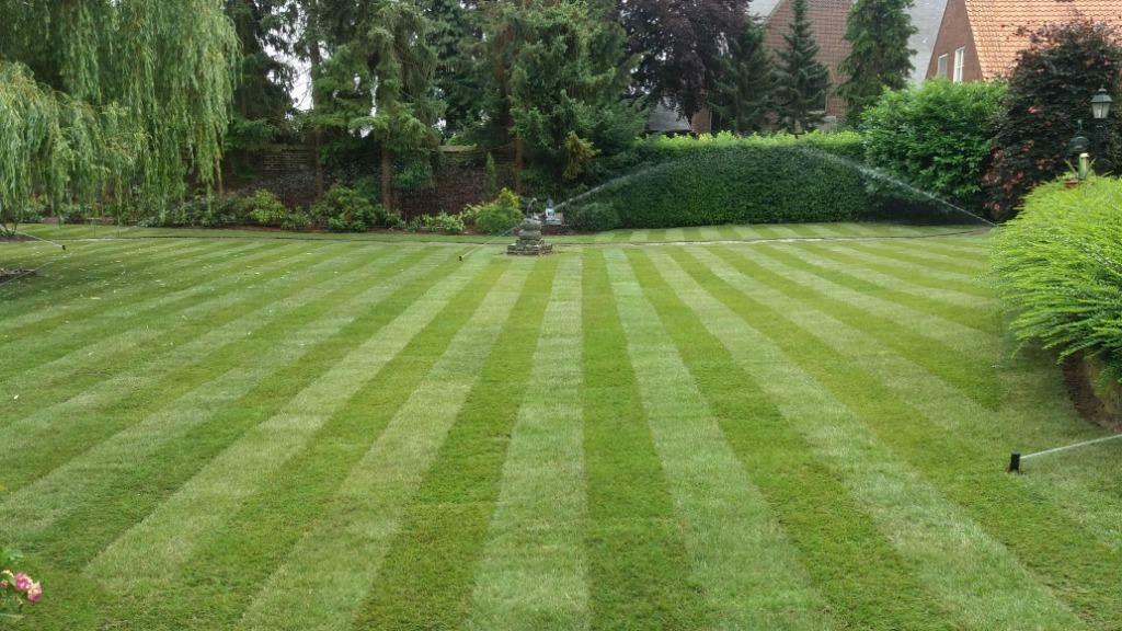 Graszoden gazon aanleg gras