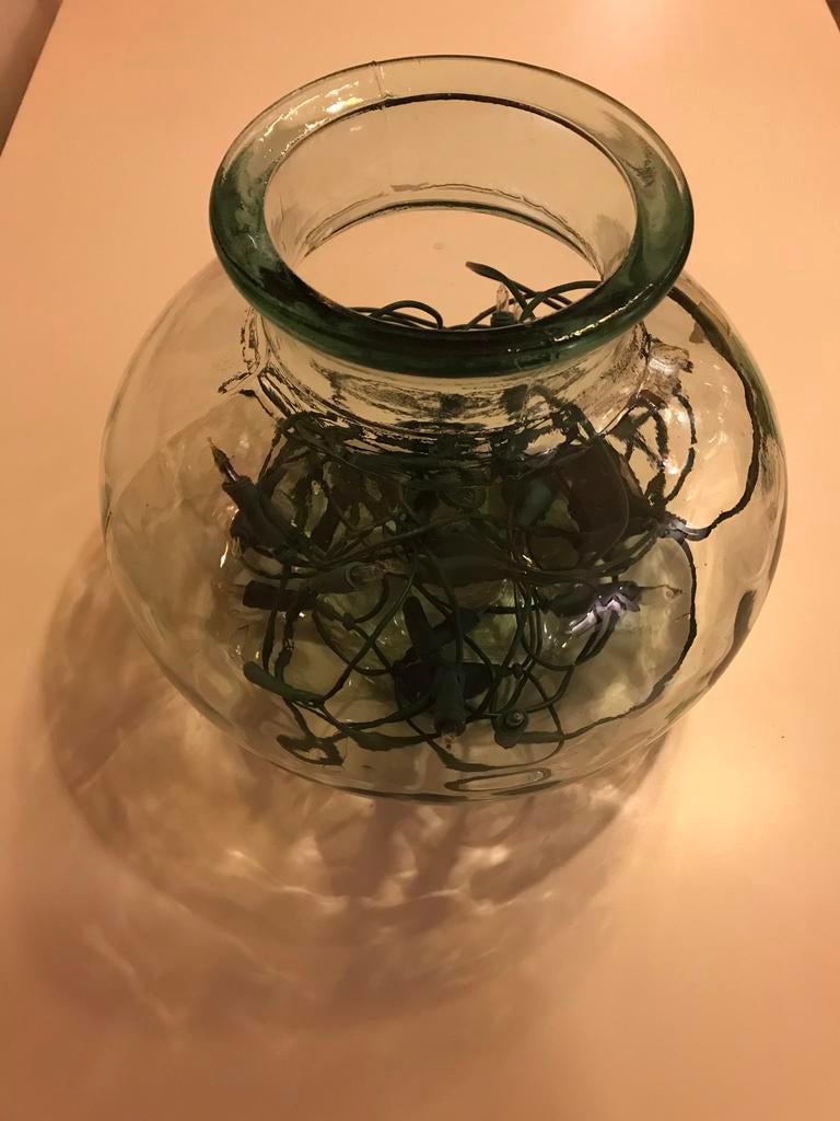 Glazen (vis)kom / decoratieve kom, Huis en Inrichting, Woonaccessoires | Vazen, Ophalen, Gebruikt, Overige kleuren, Glas