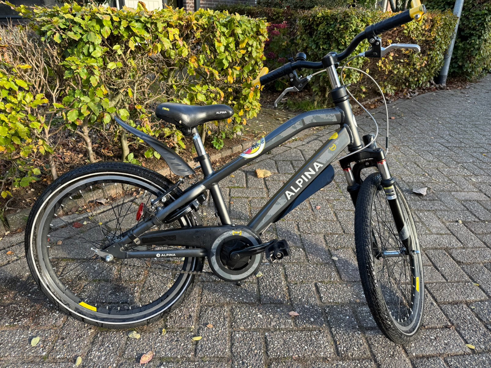 Alpina Trial kinderfiets 22 inch, Ophalen, 22 inch, Gebruikt, Velgrem
