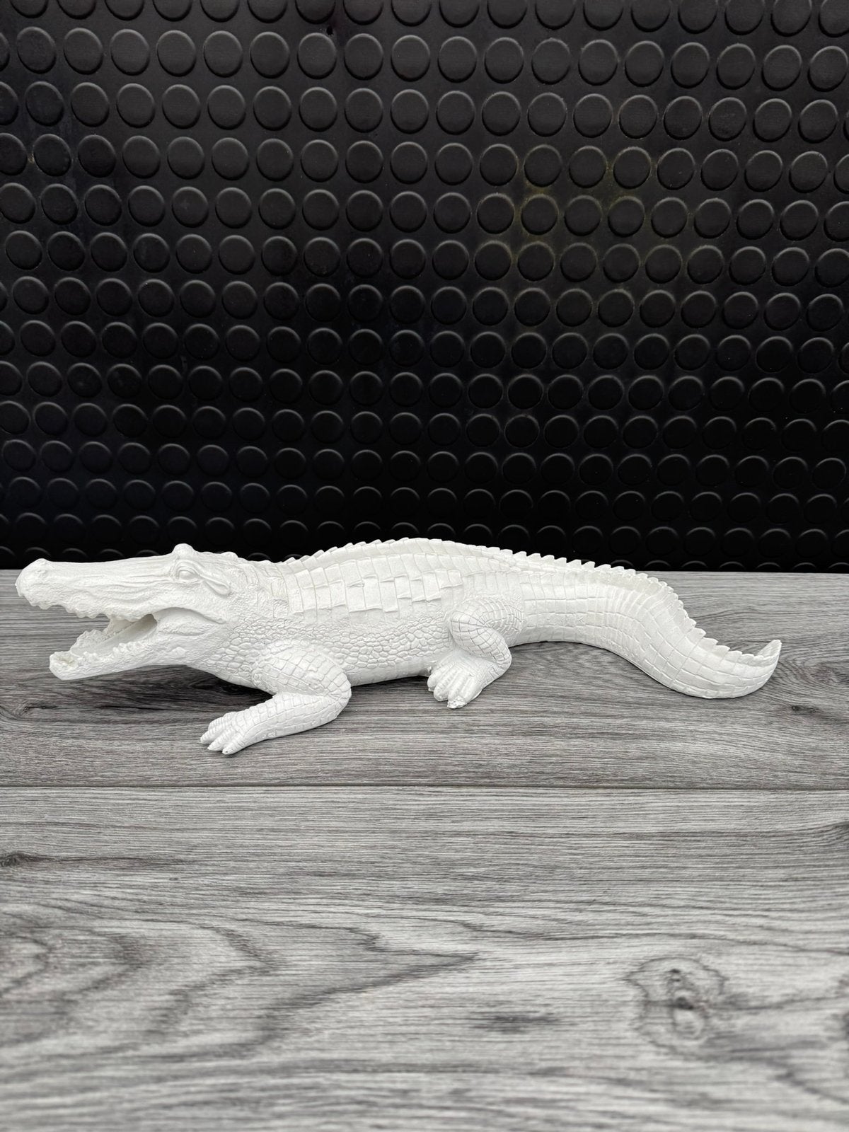 krokodil, Woondecoratie eindhoven, Nieuw, Ophalen of Verzenden, Woondecoratie eindhoven