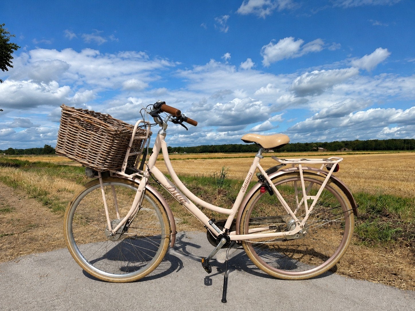 Elektrische Bromfiets maat 53 (Batavus)