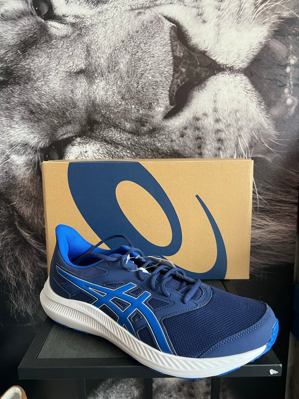 Asics Sportschoenen Maat 46 - Nieuw in Doos, Cc, Cc, Blauw, Cc