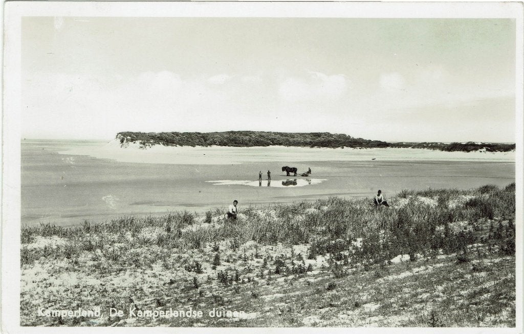 Kamperland – Kamperlandse duinen. Gelopen Barendrecht 1956., Verzamelen, Ansichtkaarten | Nederland, Ophalen of Verzenden, 1940 tot 1960