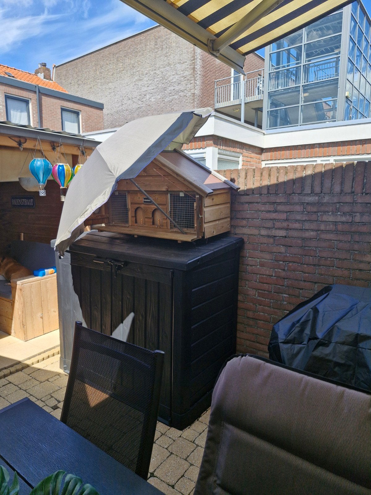 Tekoop duiven hok met twee duiven, Meerdere dieren, Postduif