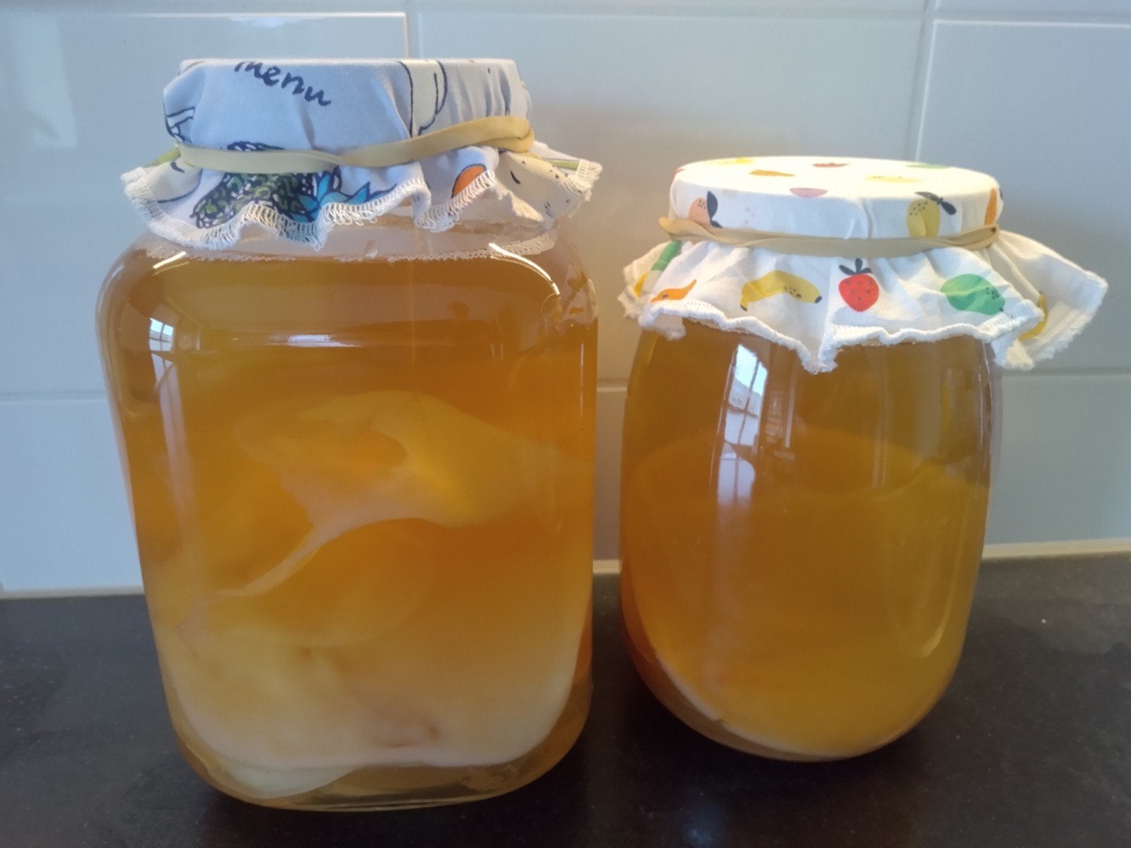 bio kombucha starter met vloeistof+ alle beginnersuitleg, Ophalen