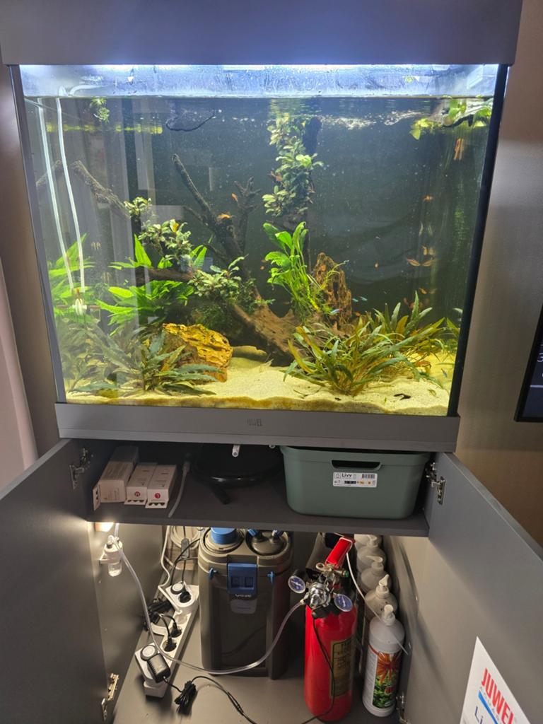Juwel lido 200 7 maand oud, Dieren en Toebehoren, Vissen | Aquaria en Toebehoren, Ophalen, Zo goed als nieuw, Gevuld zoetwateraquarium