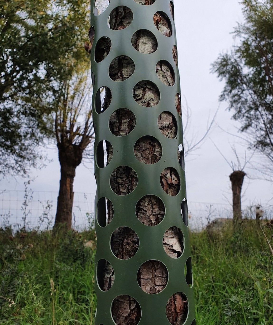 Boombeschermers diverse maten, Ophalen of Verzenden, Volle zon, Overige soorten