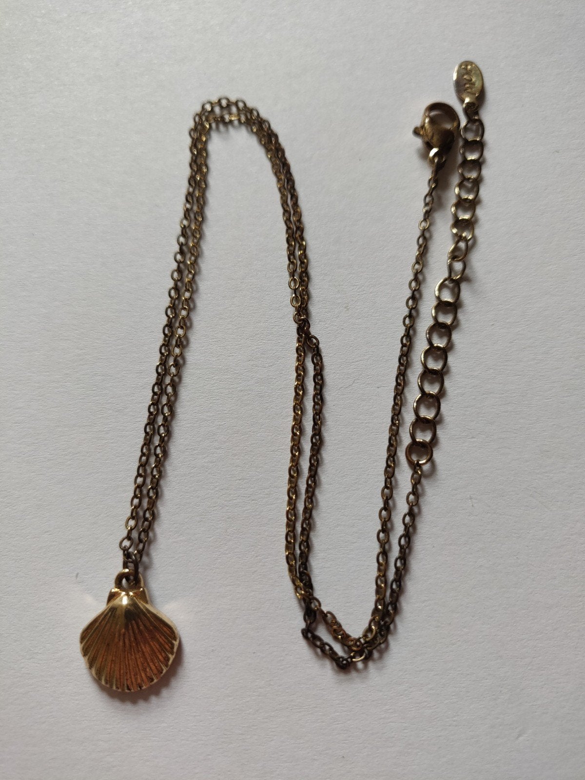L10 Ketting met Schelp 50 cm, Ophalen of Verzenden, Nieuw