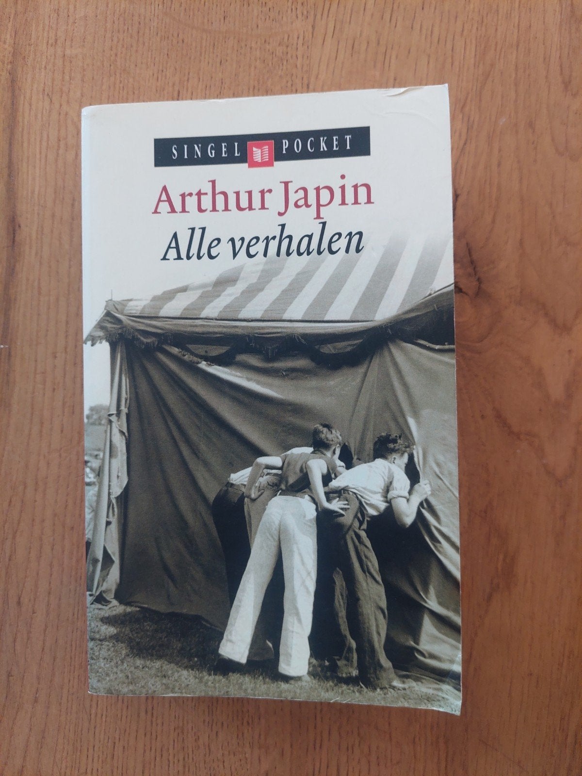 Arthur Japin - Alle verhalen (Singel Pocket), Boeken, Romans, Ophalen of Verzenden, Gelezen, Arthur Japin, Nederland