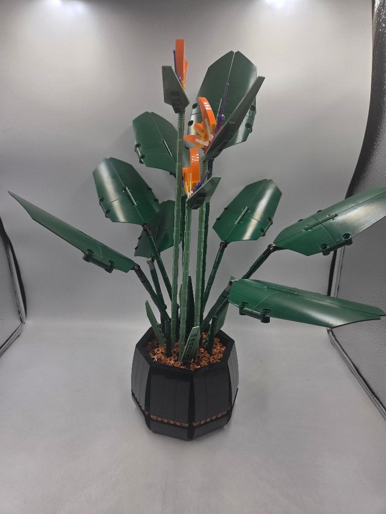 Lego Botanical 10289 Bird of Paradise, Kinderen en Baby's, Lego, Ophalen of Verzenden, Zo goed als nieuw, Compleet