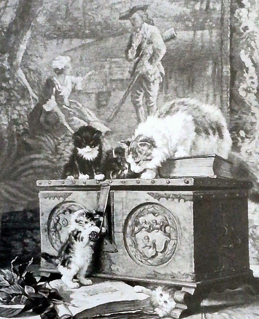 Prent Henriëtte Ronner, Ophalen of Verzenden, Klassiek, Achter glas, Dieren