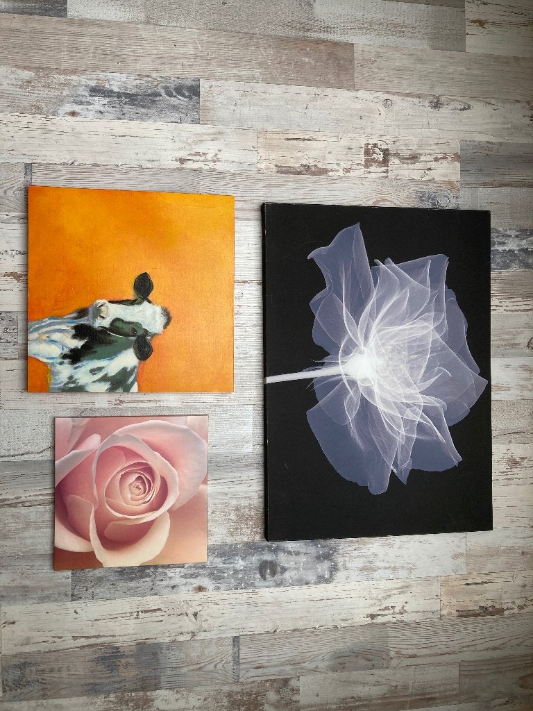 Verschillende schilderijen, Huis en Inrichting, Ophalen of Verzenden, Gebruikt, Minder dan 50 cm, Schilderij