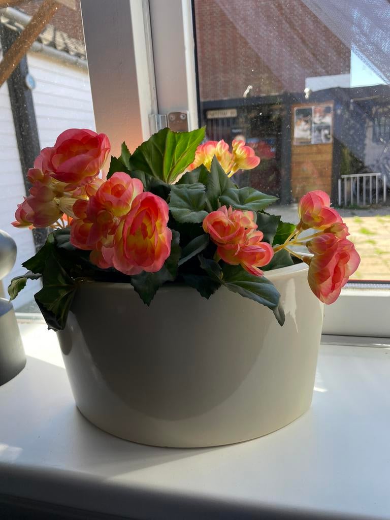2x kunst begonia’s, Ophalen, Zo goed als nieuw