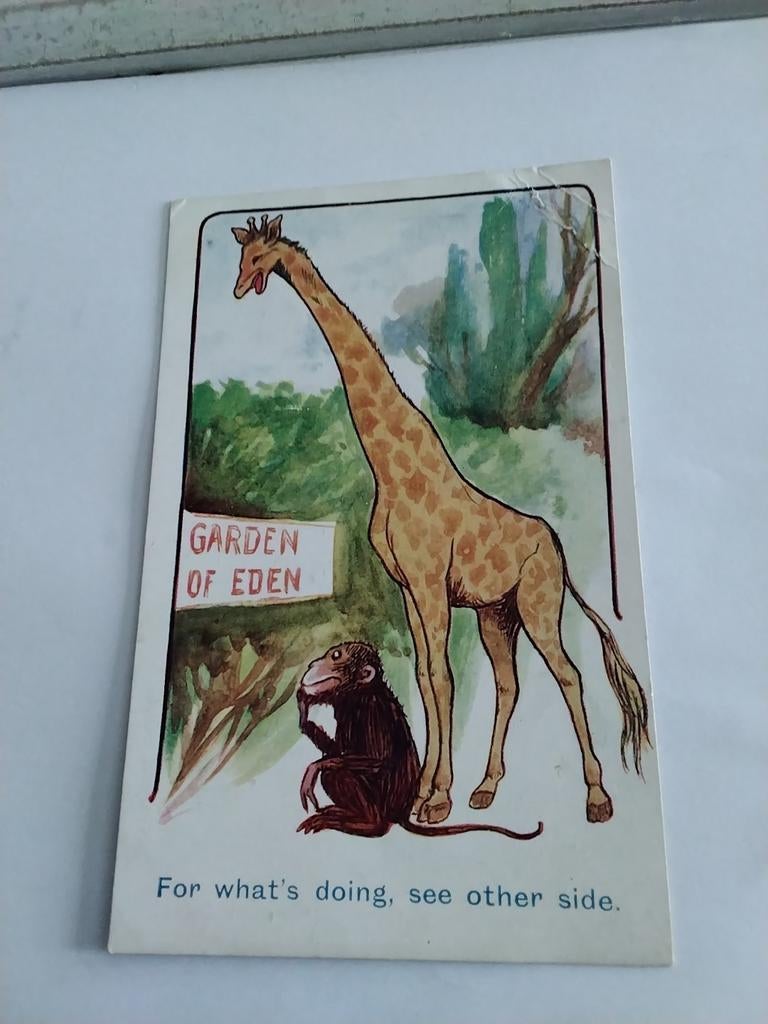 GARDEN OF EDEN/  FOR WHAT'S DOING, SEE OTHER SIDE, Ophalen of Verzenden, 1980 tot heden, Sterren en Beroemdheden