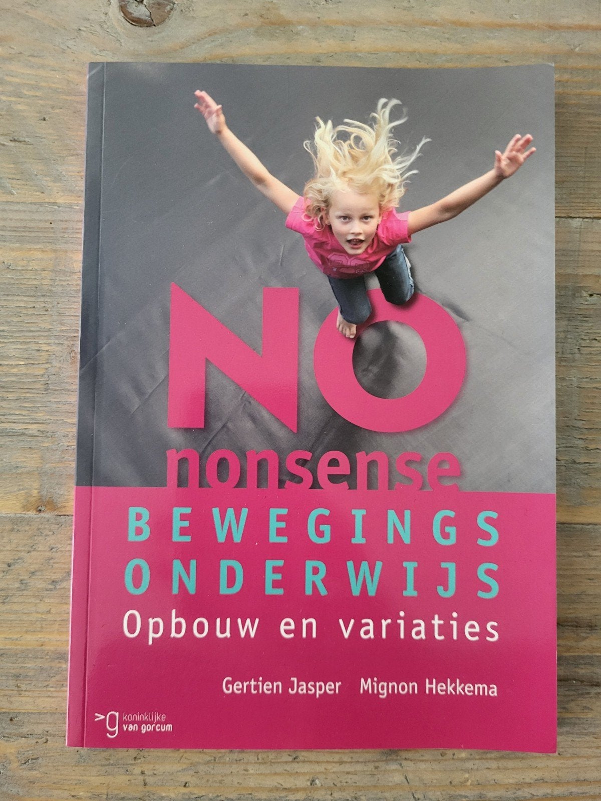 Gertien Jasper - No-nonsense bewegingsonderwijs, Boeken, Overige vakken, Ophalen of Verzenden, Zo goed als nieuw, Gertien Jasper; Mignon Hekkema