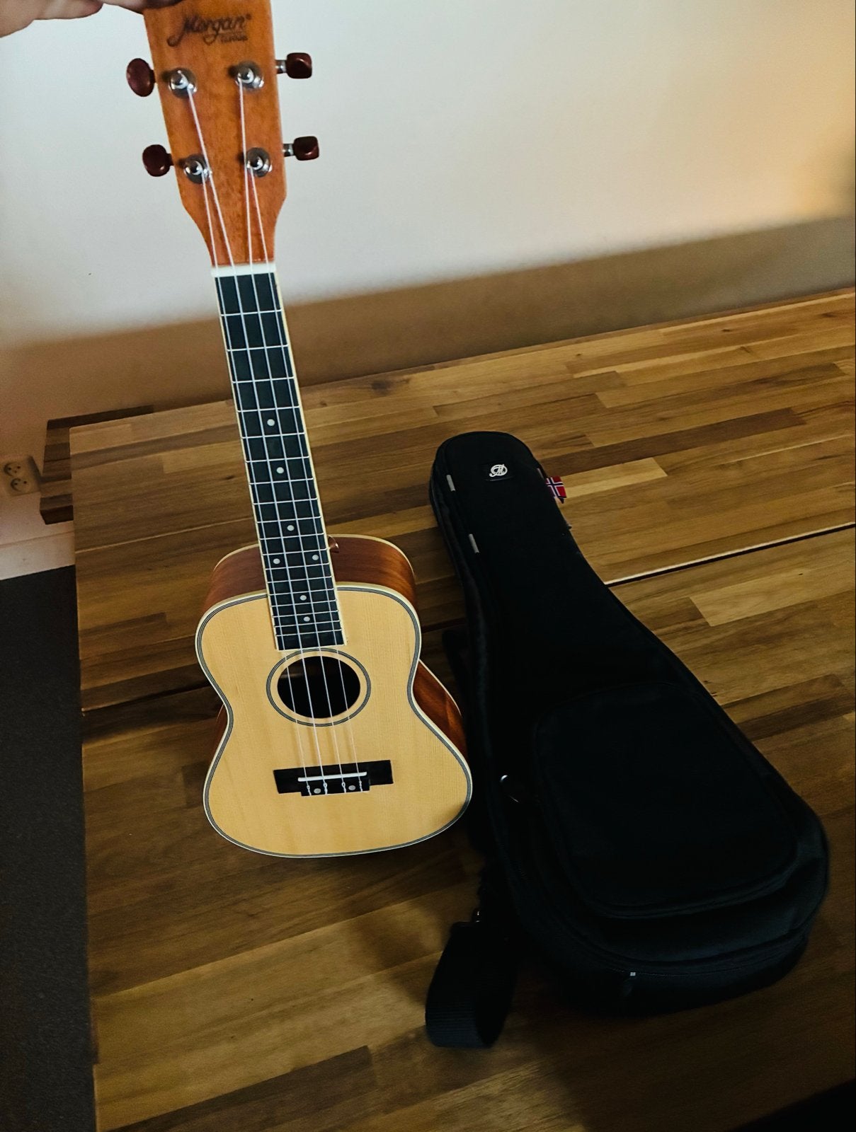 Morgan Concert Ukelele met Tas - Zeer Nette Staat, Muziek en Instrumenten, Ophalen of Verzenden, Gebruikt, Ukelele
