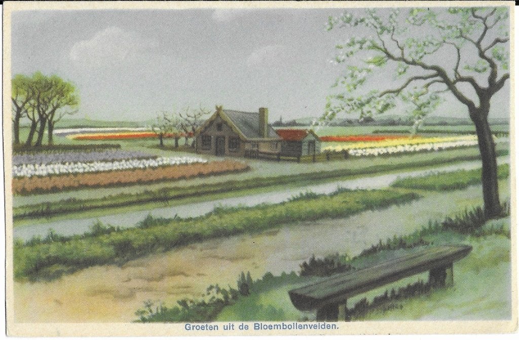 Bloembollenvelden, tulpen, hyacinten, boerderij, huis, vaart, Verzenden, 1920 tot 1940, Ongelopen, Noord-Holland