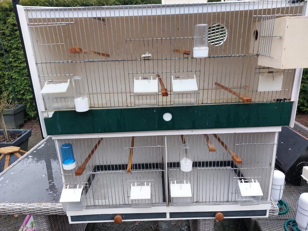 Broedhokken, Dieren en Toebehoren, Ophalen, Hout, Vogelkooi